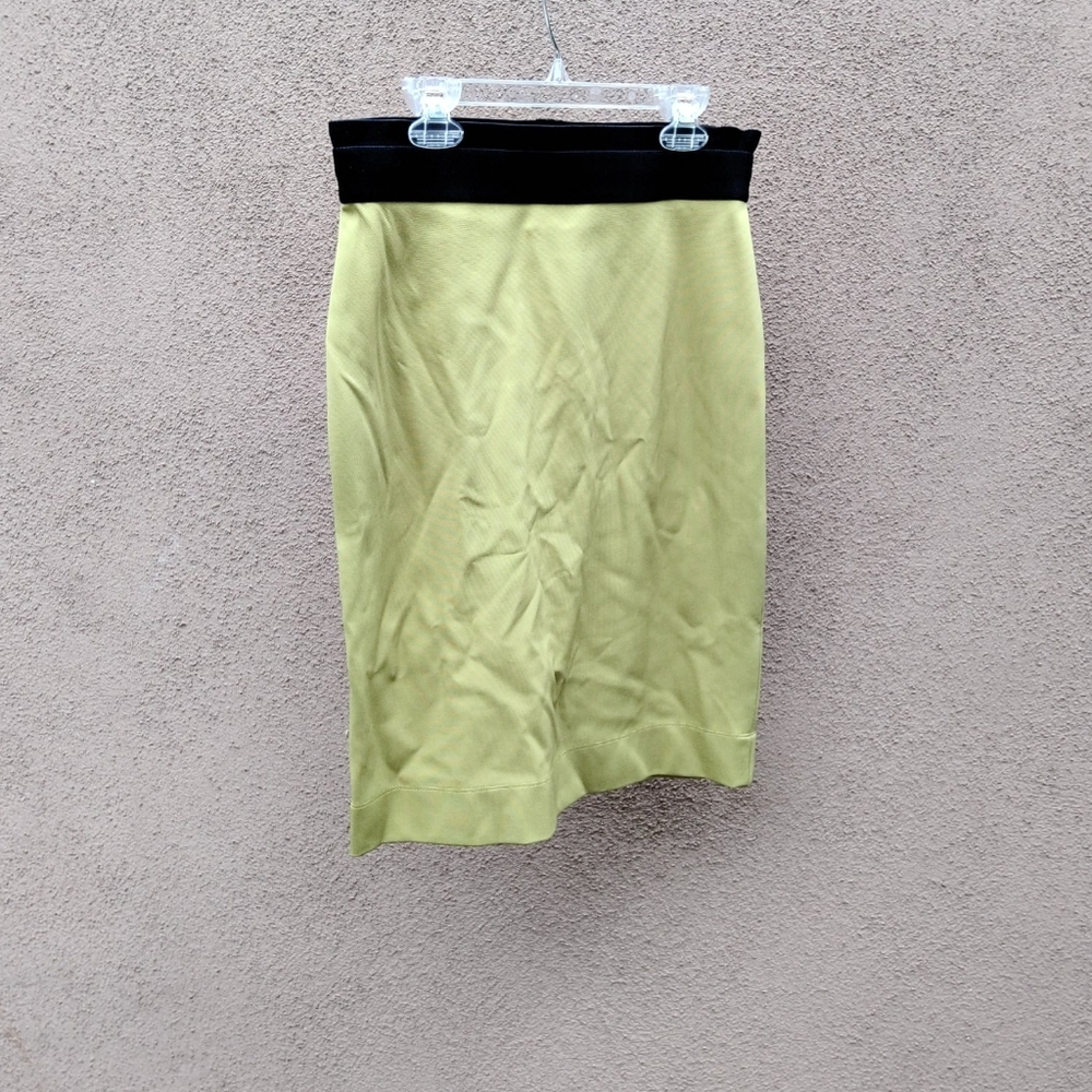 Pencil Skirt